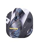 Dubulle Mens Blue Paisley Tie and Lapel Pin Handkerchief Cufflinks with Lapel Pin Set