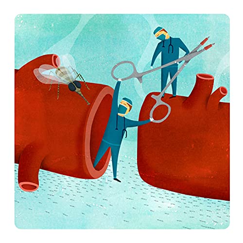 Mosco Protegido: tips y revisiones en Cirugía Vascular cover art