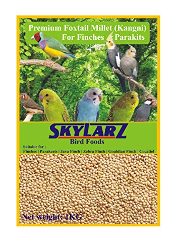 Image of Foxtail Millet Kangni Seeds 1 Kg - All Life Stages, Bird