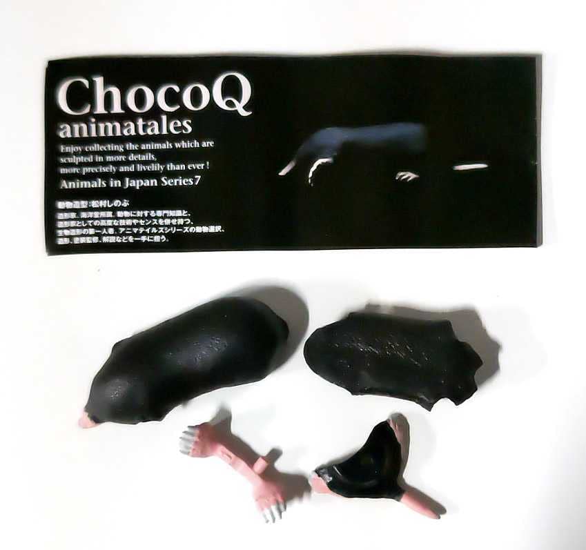 Amazon.co.jp: チョコQ 日本の動物 第7弾 ミズラモグラ ミニ