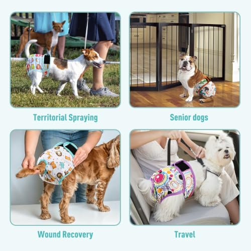 Image of Washable Reusable Female Dog Diapers(5 Pack) Small Medium Large Doggie Puppy & Doggy Dog Diaper, Period Panties in Heat Animals Small