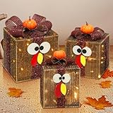 [Timer & 8 Modes]３Pack Thanksgiving Decorations Turkey Lighted Gift Boxes with 3D Pumpkin 60 LED Lights Glitter Tinsel Battery Operated Thanksgiving Outdoor Light Up Present Boxes for Home Yard Decor