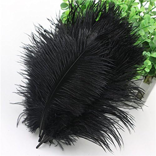 WAKEACE Ostrich Feathers 20 Pieces 7-10 Inch 18-24CM DIY Wedding Dress Feather Dance Craft