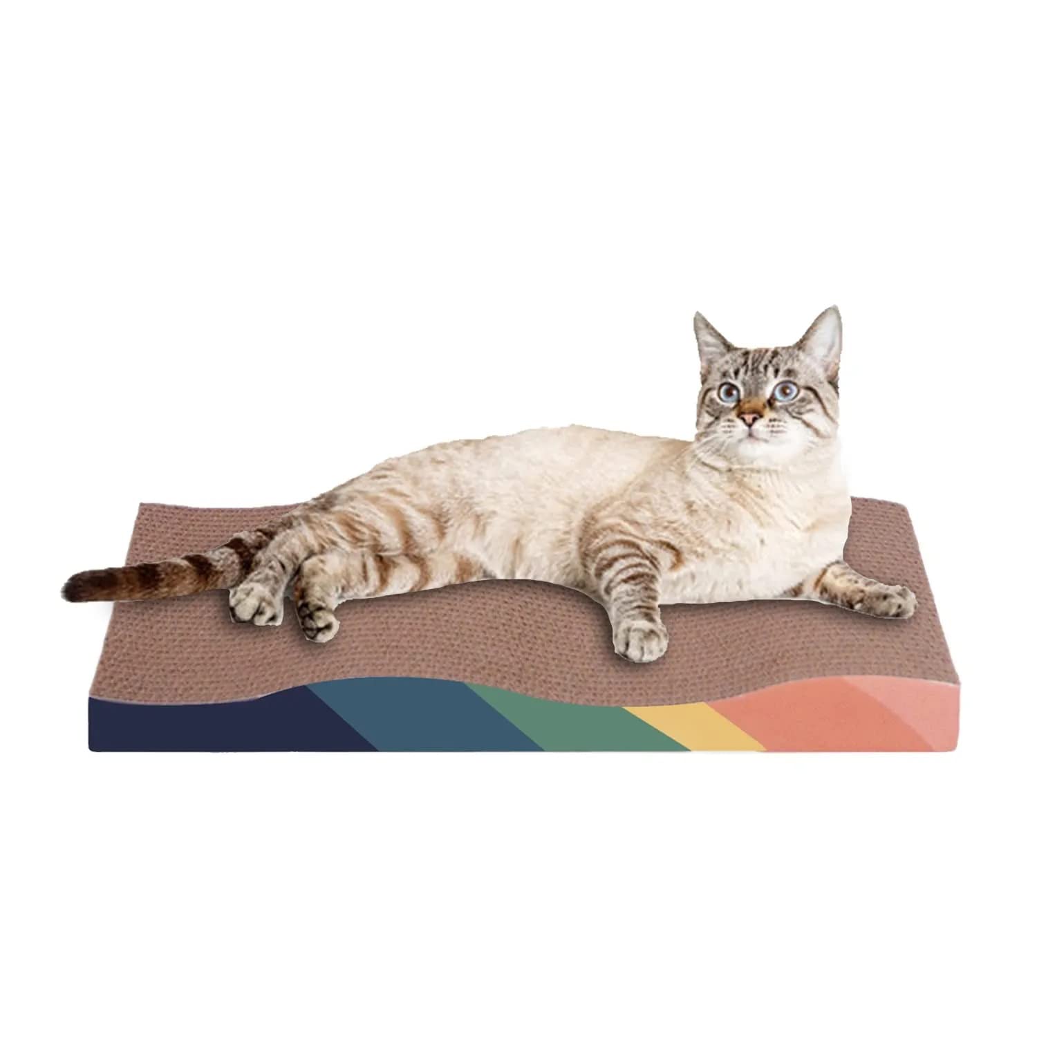 Pups&Pets Cat Scratcher Moon Shape Cat Scratch Board Kitten Scratching Toy for cat, Kitty Scratcher Toy Moon Shape (B09QHN31YY) Amazon Price History, Amazon Price Tracker