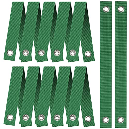 Top 10 Best Tree Staking Straps 2022 Reviews & Buying Guide BNB