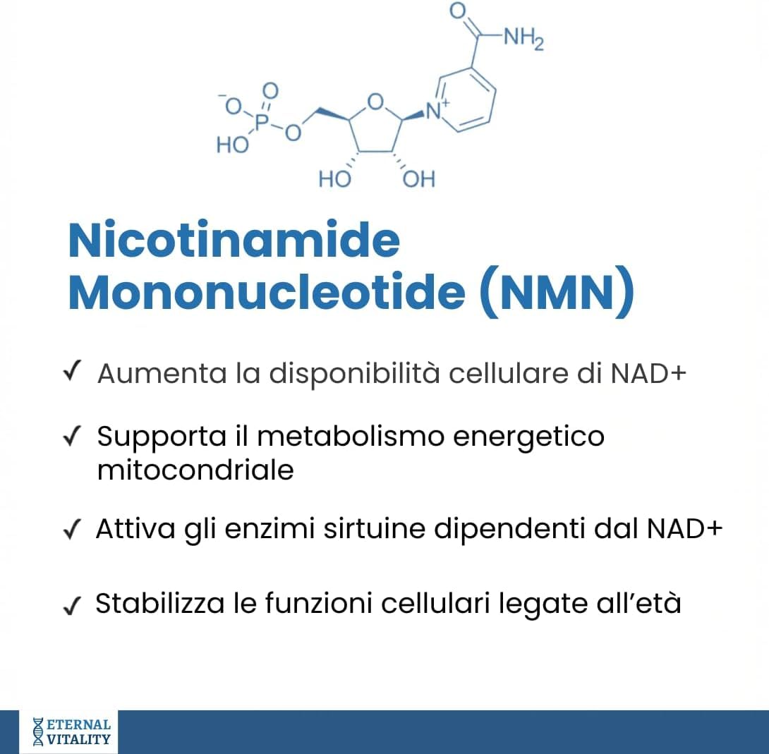 Uthever® NMN 500 mg per dose - 60 capsule - Nicotinamide Mononucleotide - Certificato da laboratorio - Qualità premium | 250 mg per capsula, vegano, precursore del NAD, testato in laboratorio