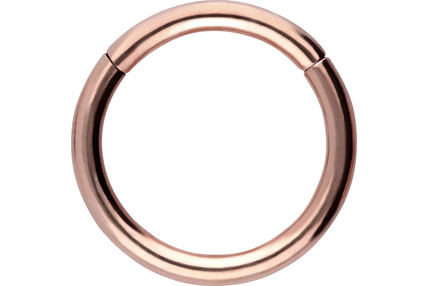 PIERCINGLINE Anillo segmento Clicker de acero quirúrgico – Piercing en oro, plata, rosa, negro o azul – para nariz, tabique, oreja, hélice o tragus — view 36