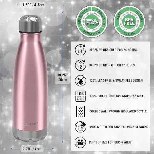 Image of CHILLOUT LIFE 17oz Insulated Stainless Steel Water Bottle, Leak Proof