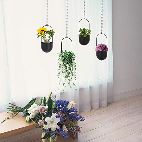 Sinolodo Metal Hanging Planters Boho Plant Hanger For Indoor Wall And Ceiling Hanging Planters,Metal Black(Pack Of 2) (Oval-Black-Big) #TOP7