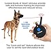 Educator E-Collar Humane Dog Training Collar with Remote, 100 Safe Tapping Stimulation Levels, Night Light, Waterproof, Rechargeable, 1 Mile 2 Large Dogs, Black
