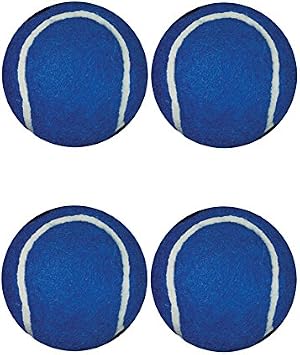 Walkerballs 2 Pack - The Original Walkerballs - 2 Pairs of Blue