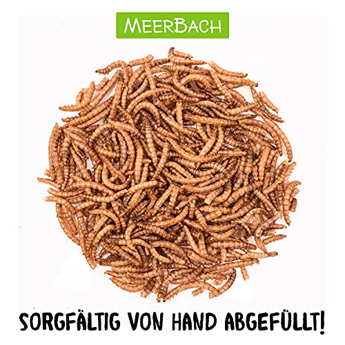 Mehlwürmer getrocknet, 800g (entspricht 5 L) getrocknete Mehlwürmer im praktischen Eimer, proteinreicher Snack für… – Bild 4