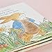 Peter Rabbit A Fluffy Easter Tale: A touch-and-feel book