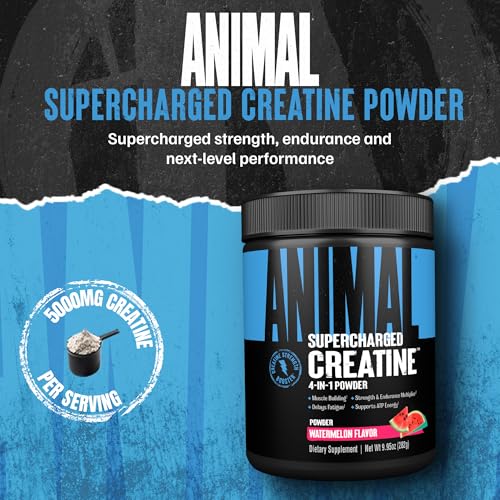 Image of Animal Supercharged Creatine Powder - Flavored Creatine Monohydrate Enhanced with Betaine Anhydrous, PurpleForce & Senactiv, Strength, Endurance, Muscle Recovery for Men and Women - Watermelon, 300g