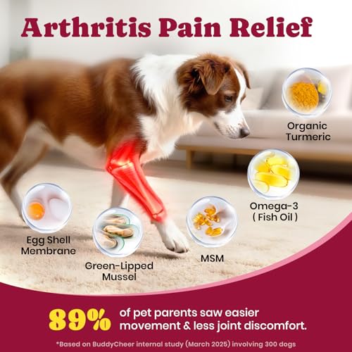 Image of Glucosamine for Dogs - Hip and Joint Supplement Chews for Senior & Large Breed, Joint Supplement for Dogs with Chondroitin, Wuffe Joint Chews for Pain Relief - 60-Day Satisfaction Guarantee - 180 Ct