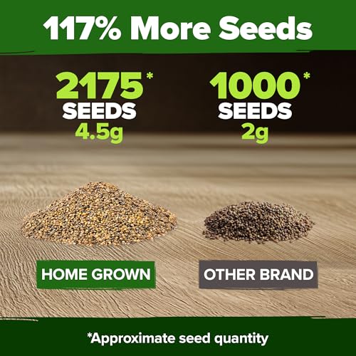 Image of HOME GROWN Arugula Roquette Seeds 2,175+ Heirloom Non-GMO Seeds for Planting, High Germination, Fast Growing Peppery Salad Greens, Indoor Outdoor Hydroponic Garden, Microgreens (Eruca vesicaria)