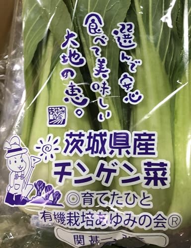 【特別栽培】あゆみの会　茨城のチンゲン菜　2株P　x2個セット【冷蔵】