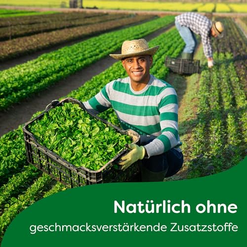 Knorr Feinschmecker Curry Sauce ohne geschmacksverstärkende Zusatzstoffe und Farbstoffe 19x 250 ml