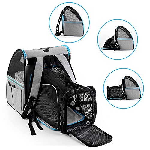 Expandable Pet Carrier Backpack - Soft Sided Cat Back Pack with Breathable Mesh for Small Dogs Cats, Collapsible Pet… - Image 4