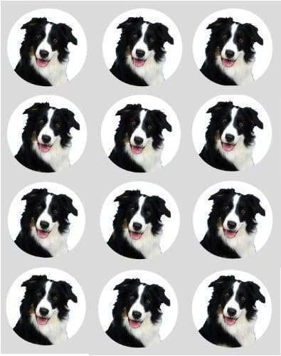 border collie cake topper