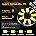 Auxbeam 194 LED Bulbs 10 PCS, Super Bright 6000K White 168 2825 T10 W5W 18-SMD LED Light Bulbs for License Plate Lights Interior Lights Dome Map Light
