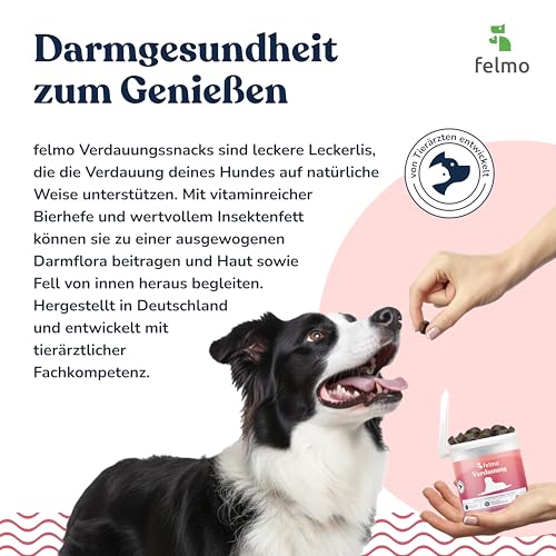 felmo Verdauungs-Snacks für Hunde (325g)