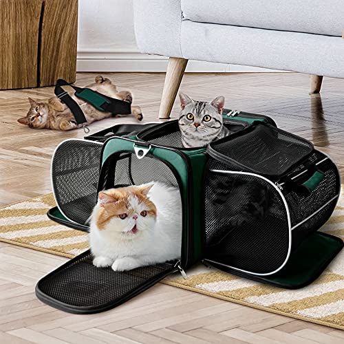 AutumnStory Transportadora para Gatos, Transportadora para Animais de Estimação Aprovada Pela Compan