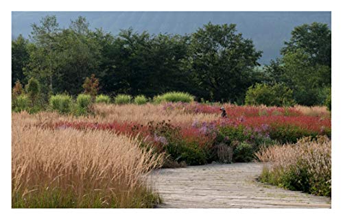 Tokachi Millennium Forest: Pioneering a New Way of Gardening with Nature
