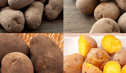 じゃがいも4種詰合せ(品種おまかせ合計8kg)[十勝幕別 北海道ホープランド農場] 野菜 セット