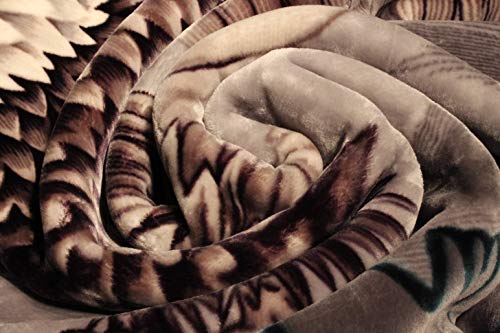 Solaron Korean Super Thick Mink Blanket Twin Size 63" X 87" Green Eagle Bm118 #TOP5