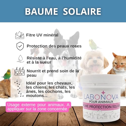 L.O. EQUILIBRIUM Crème Solaire minéral pour Animaux – Protection UV résistante à l’Eau – Chiens, Chats, Chevaux, Lapins et Autres Animaux – vue 2
