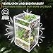 MYGIIKAKA Jumping Spider Enclosure Accessories, Tarantula Spider Box, Bug Cage, Praying Mantis Habitat Enclosure, Snail Insect Terrarium, Caterpillar Habitat (3x3x6 inch)