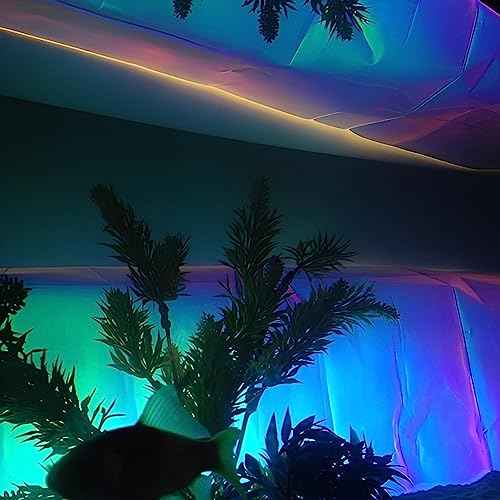 Electronic Party Music
