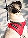 Comfort Fit Dog Harness No Pull No Escape Harness Adjustable Buckles Soft Padded Reflective Choke Step in Dog Vest with Easy Control Handle for Small Medium Large Dogs & Puppies