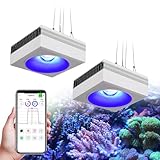 【Sortie PAR élevée】Ce RL90 intègre la dernière technologie Dense Matrix LED avec un spectre complet, permettant une pénétration et une intensité optimales de la lumière avec une sortie PAR élevée, cruciale pour la santé et la vitalité des coraux. La vibration est également améliorée avec des bleus plus profonds et des blancs plus brillants.