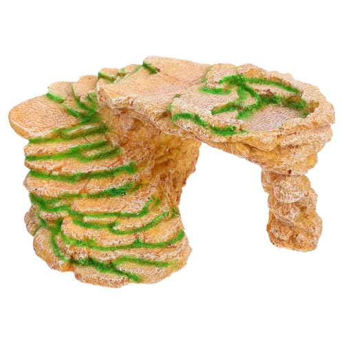 NUOBESTY �T�x�e�� �J�������n�A�N�Z�T���[ ঒��ރV�F���^�[ �f�ގg�p �ϋv�� ���R�Ȏ����� ���N�K�� �g�J�Q�B��� ���n�p�o���q�t��