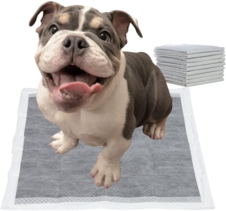 10 Count M-Size Charcoal Training Pads, Charcoal Wee Wee Puppy Pads, Newborn Medium Dogs, 17 x 23 Inch Quick Absorb Puppy Pads…