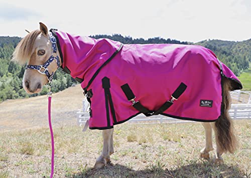 1200 D Waterproof Hooded Sheet Miniature Horse/Pony (52-54", Royal Blue) #TOP4