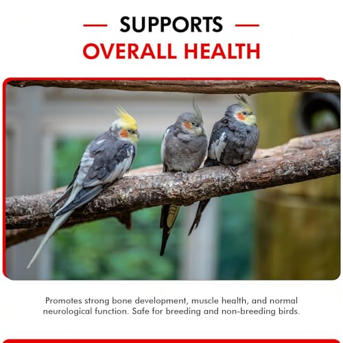 Morning Bird Calcium Plus Liquid for Birds – Calcium Supplement with Vitamins and Minerals for Strong Eggshells, Healthy Bones - Support Growth, Breeding, and Wellness for All Birds 4 Fl Oz