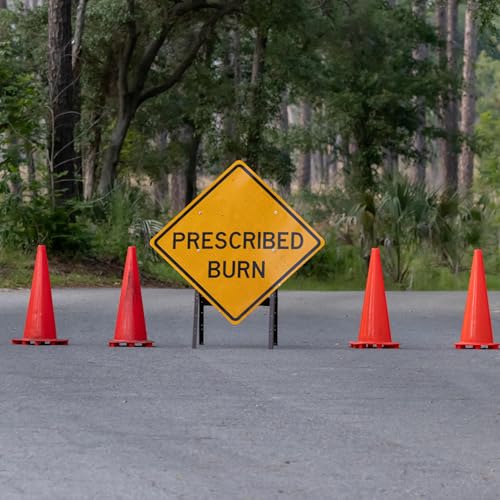 『The Fire and The Fruit (Rev. J. Amos Caley)』のカバーアート