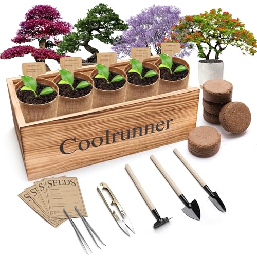 Bonsai Tree Kit, Wooden Bonsai Starter Kit, Coolrunner Bonsai Tree