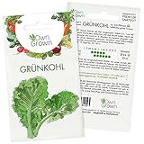 Gr&uuml;nkohl Samen: Premium Gr&uuml;nkohl Saatgut zur Anzucht von 200 Gr&uuml;nkohl Pflanzen