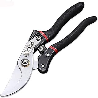 Garden Pruning Shears Steel Fruit Picking Scissors Household Potted Trim Weed Branches Small Orchard Pruner Cut