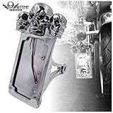 HTTMT- Chrome Side Mount License Plate Frame w/SKULL LED Brake Tail Light Compatible with 7/8' or 1'...