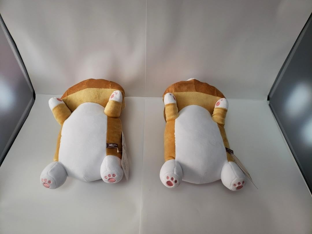 Amazon.co.jp: まるまるコーギー ましゅもっち ぬいぐるみ 全2種類 