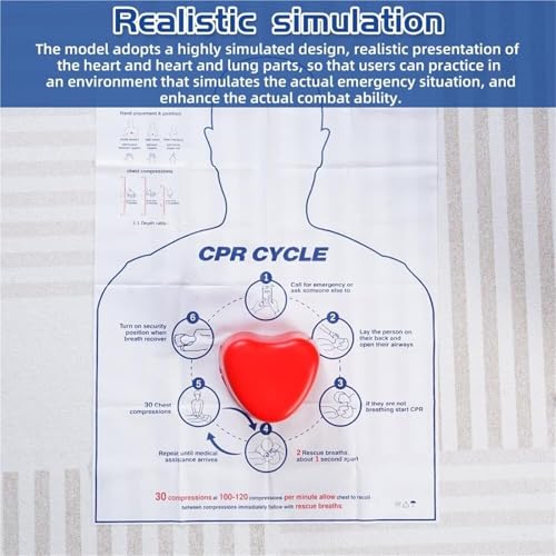 Modèle RCR pour instructeurs de premiers secours avec torse anatomique - 5