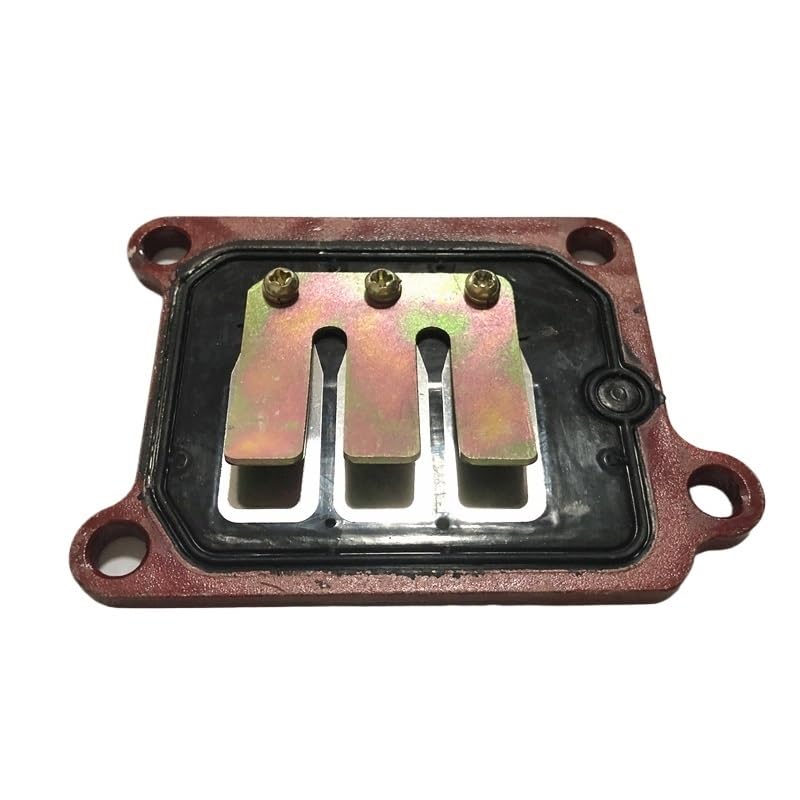 Válvula de lengüeta de alta resistencia para Suzuki 80cc Tornado 5