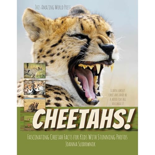 Cheetahs! Fascinating Cheetah Facts for Kids with Stunning Photos by Joanna Slodownik, This Amazing World Press episode artwork