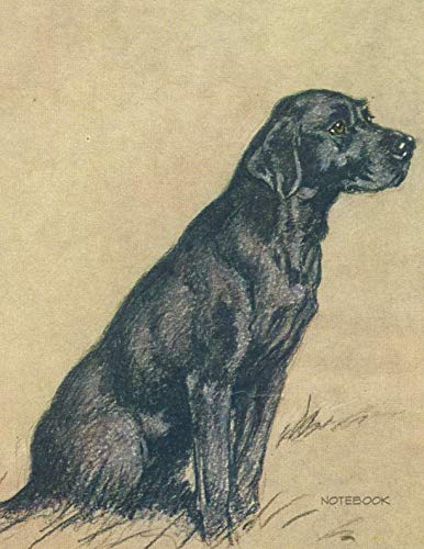 Notebook: Cecil Aldin Labrador Journal
