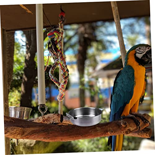Buying Guide Housoutil 3pcs Parrot Bird Feeder to Feed
